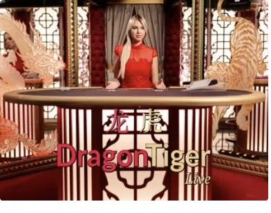 Dragon Tiger en direct